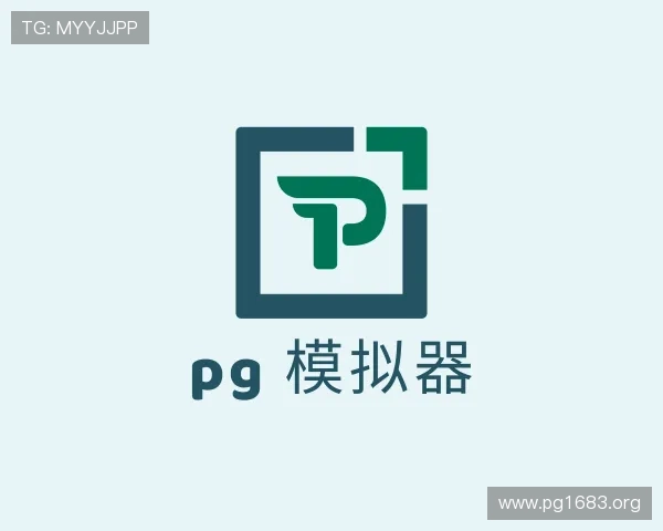 了解pg 模拟器